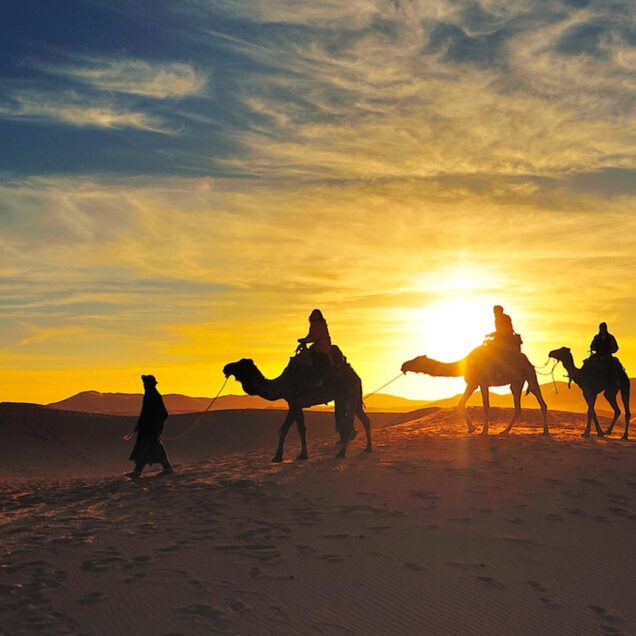 Sahara